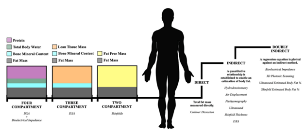 body fat percentage measurement methods