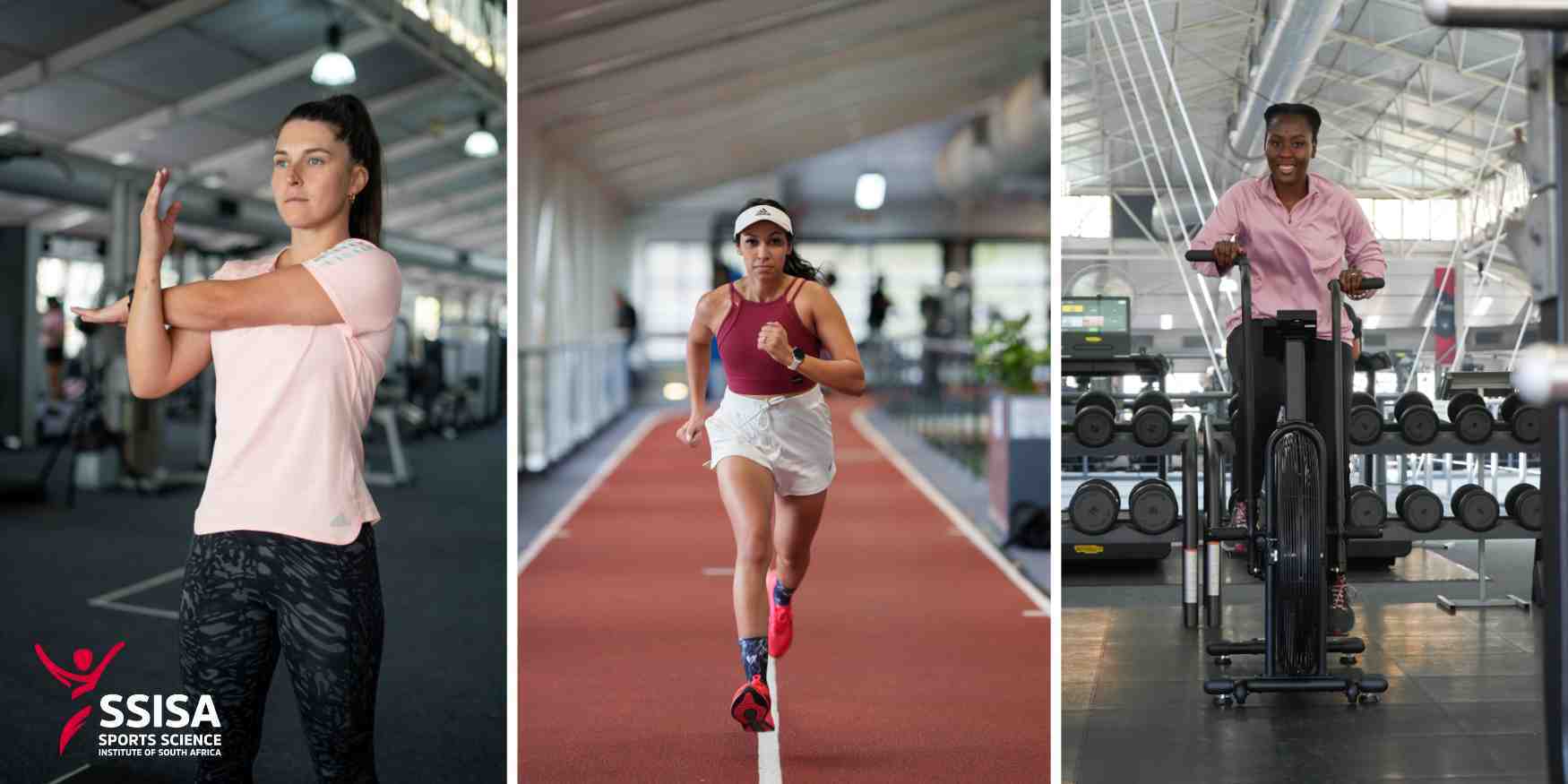 Gym membership during winter