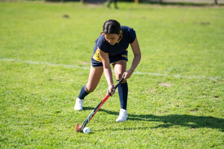 Online Hockey short course