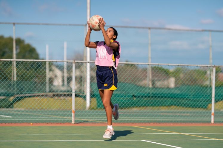 Online Netball short course